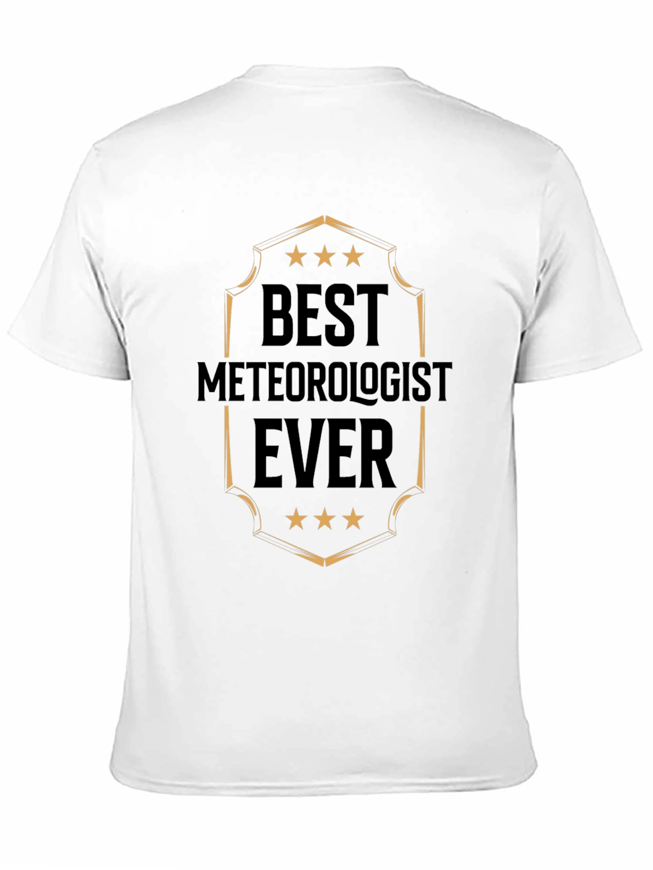Best Meteorologist Ever T-Shirt - Weather Expert Tee