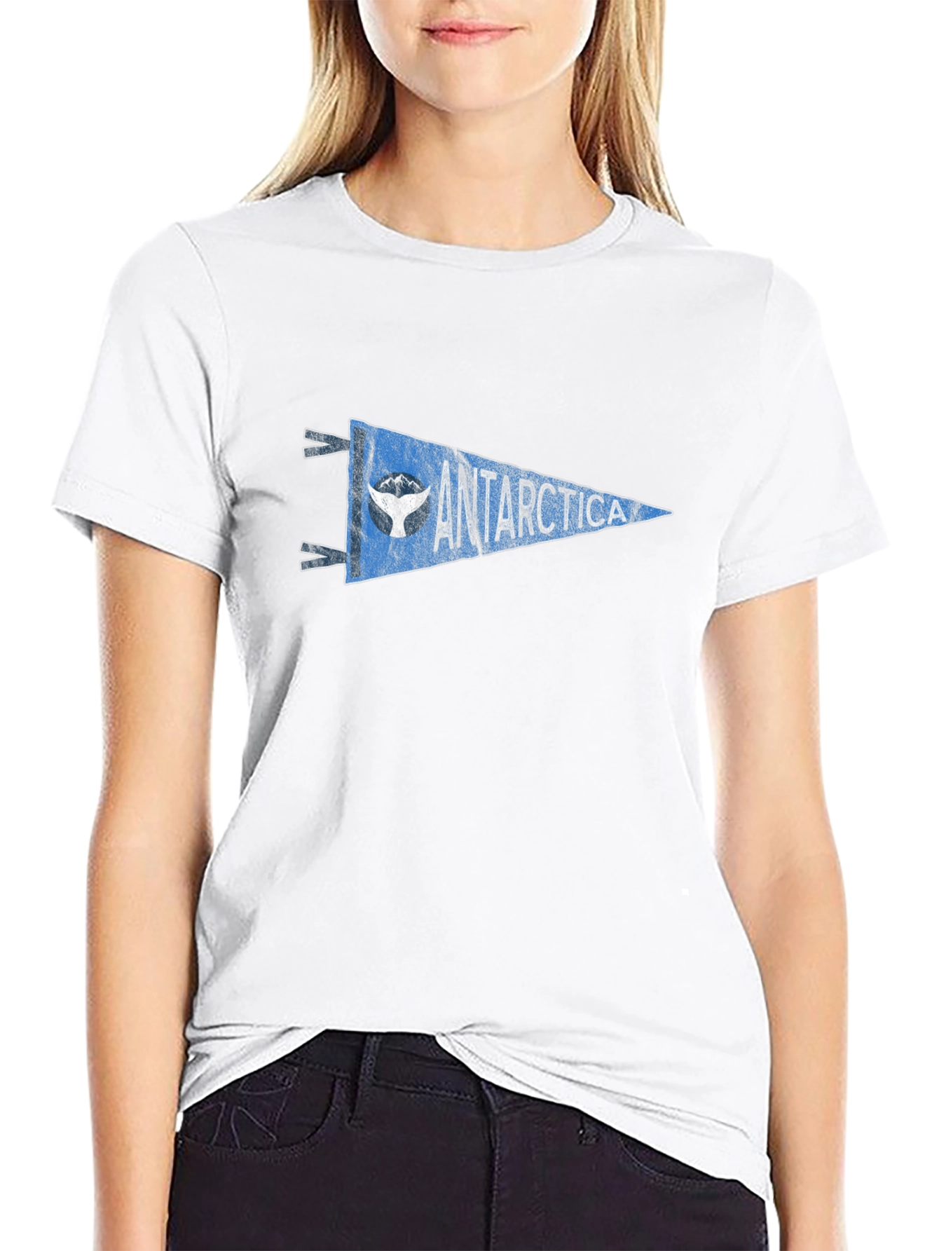 Antarctica Pennant Graphic Tee - Black