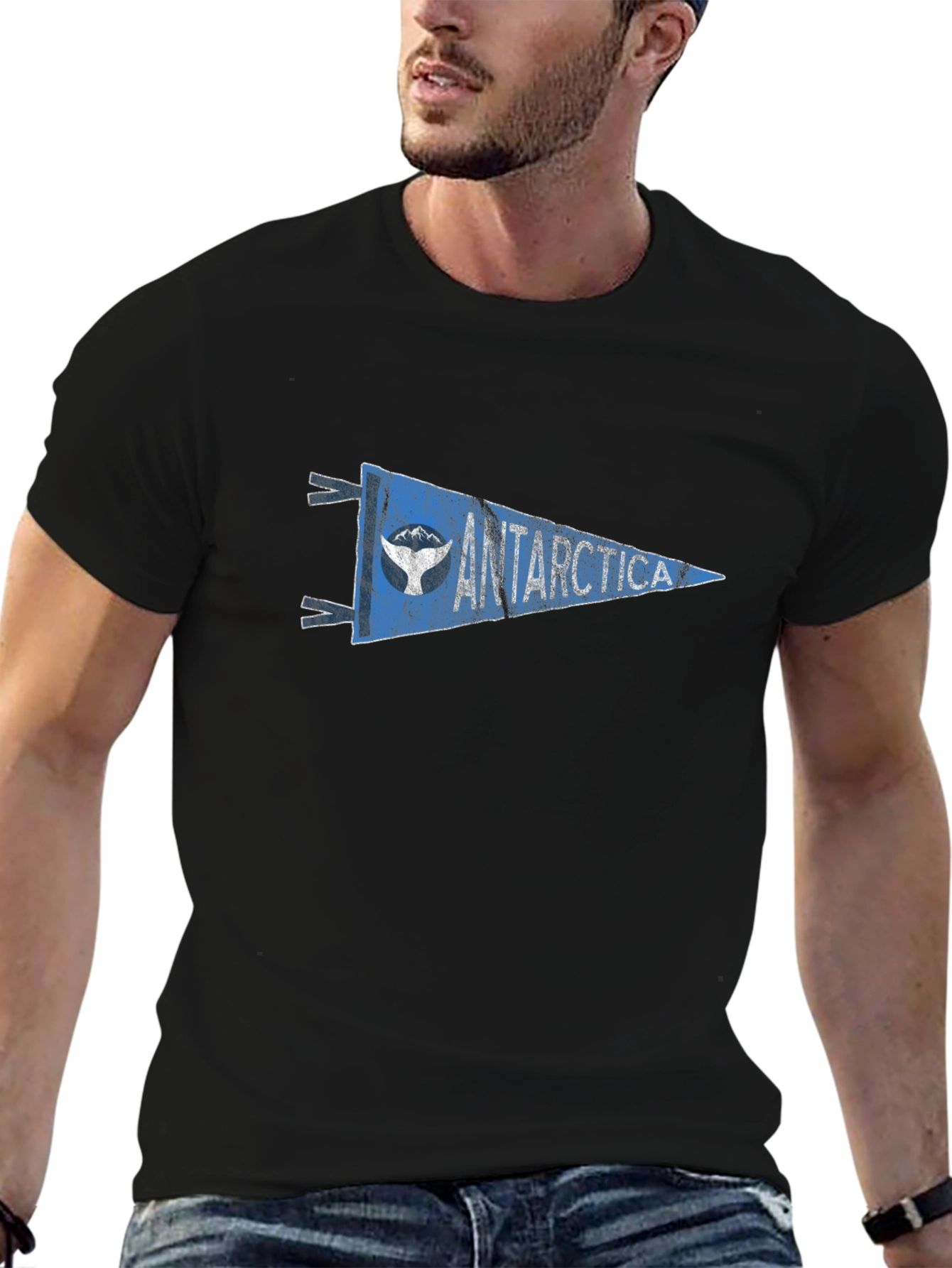 Antarctica Pennant Graphic Tee - Black