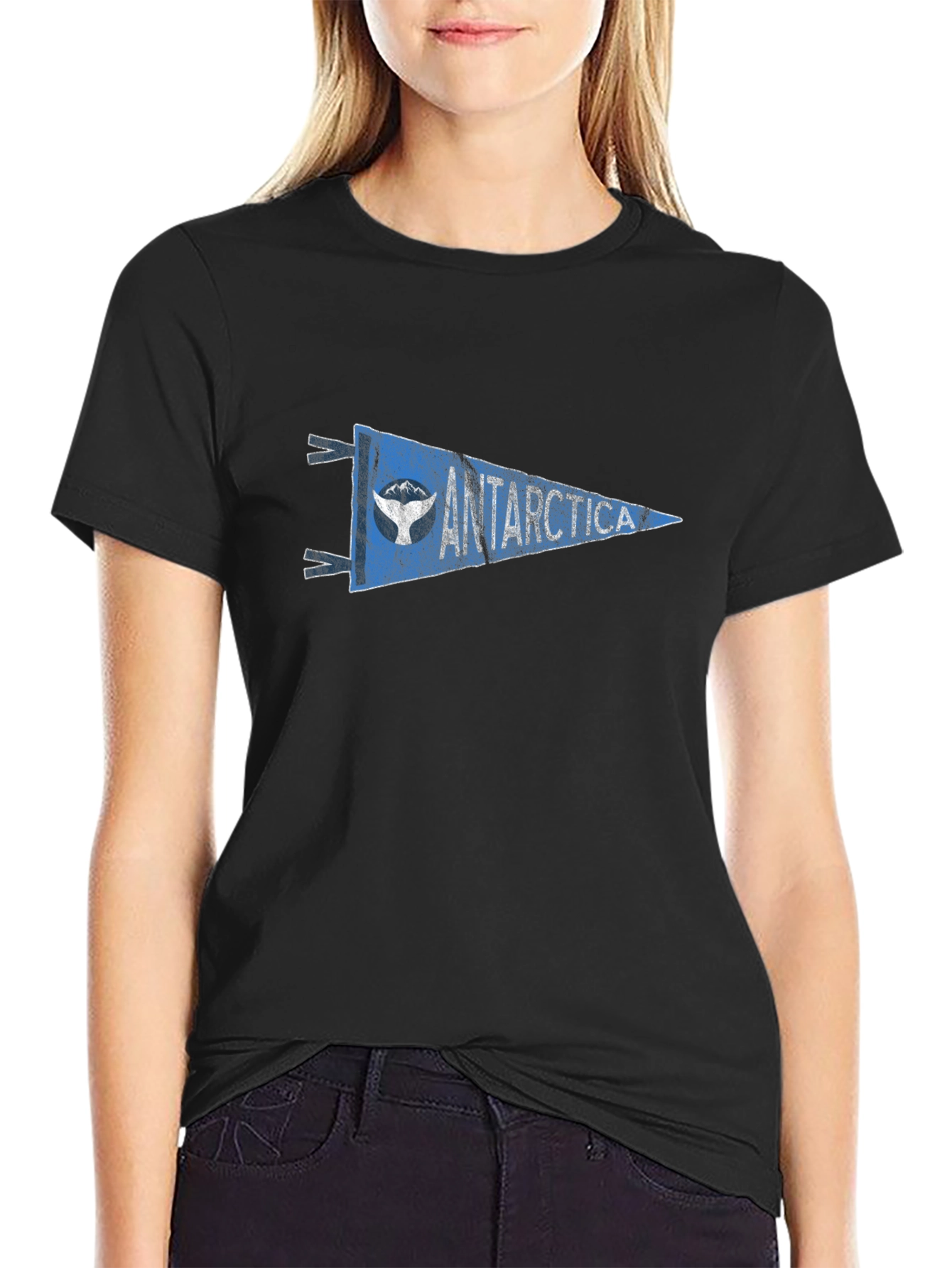 Antarctica Pennant Graphic Tee - Black