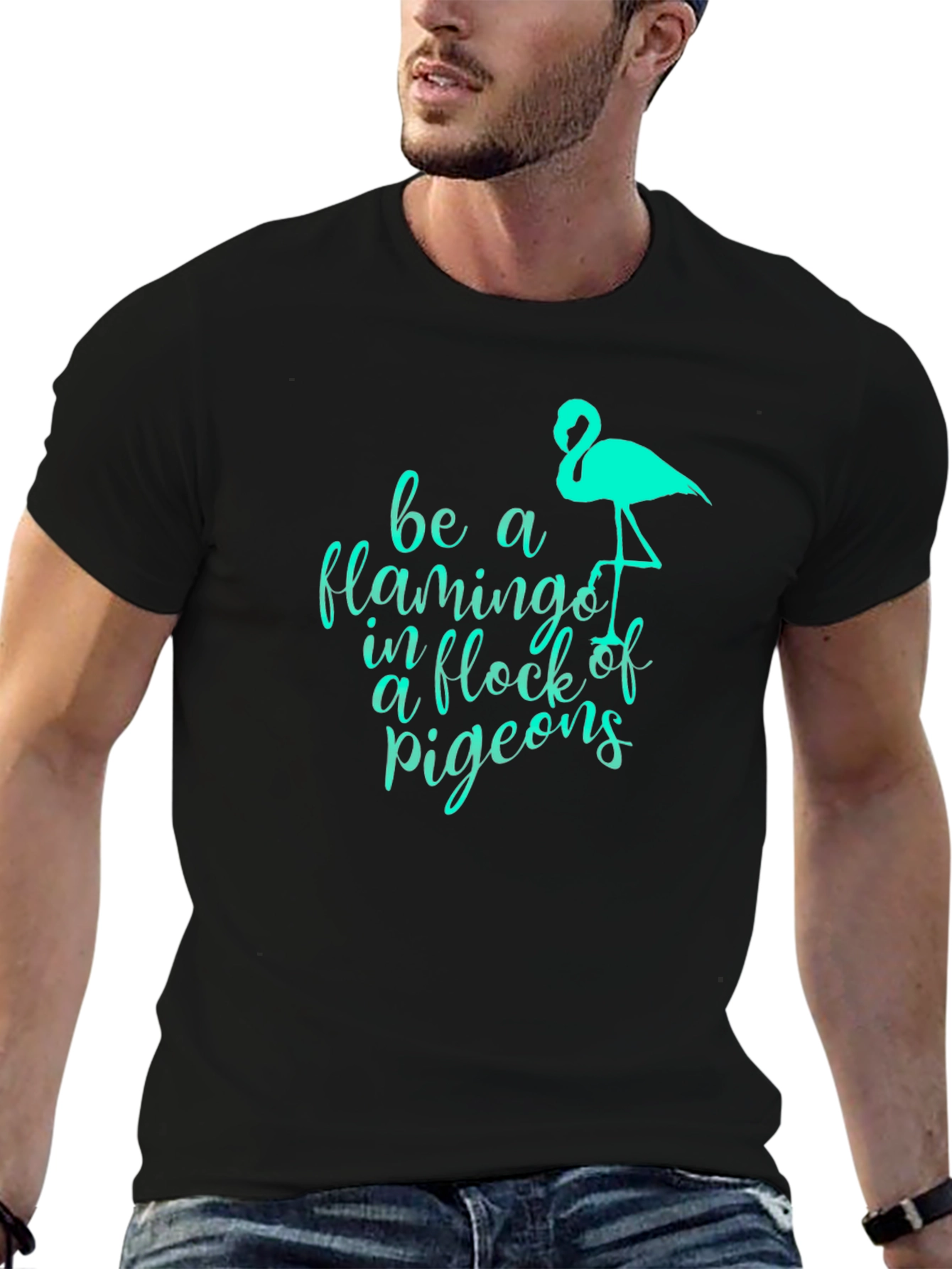 Be a Flamingo Black Graphic Tee
