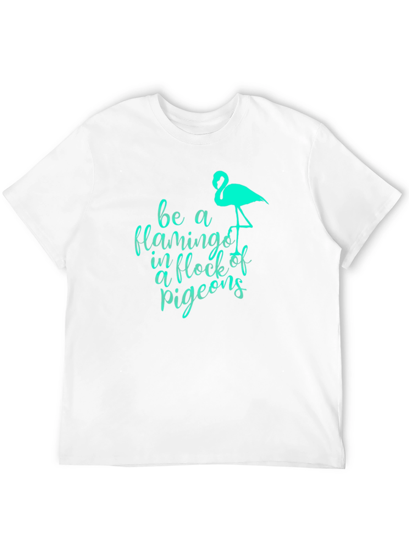 Be a Flamingo Black Graphic Tee
